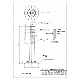 NAT-65-250-R2