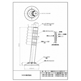 NAT-65-250-R6