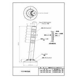 NAT-80-250-R6