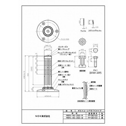 PBTK-40-250-R