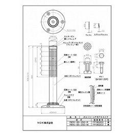 PBTK-65-250-R