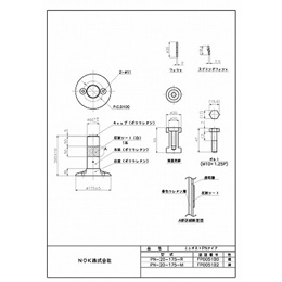 PN-20-175-R